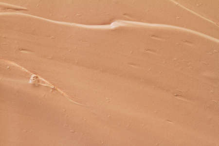 Texture of liquid foundation, as backgroundの写真素材