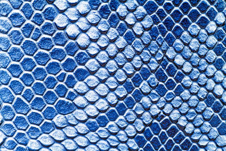 Snake skin background. Close up.の写真素材