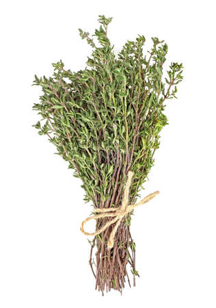 Bunch of fresh thyme herb on white backgroundの写真素材