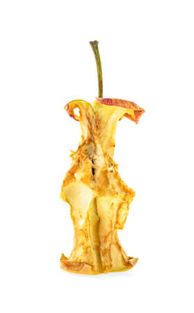 Red apple stub isolated on white backgroundの写真素材