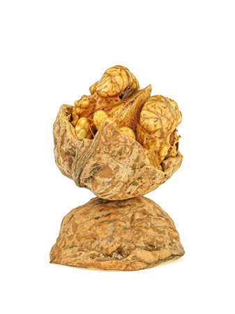 Walnuts isolated on white backgroundの写真素材