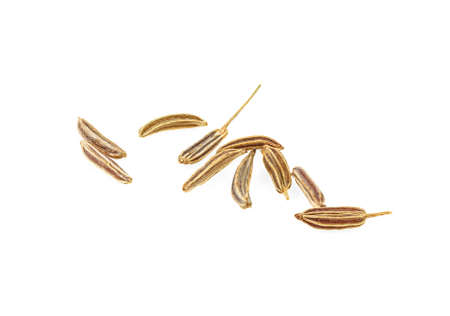 Cumin seeds isolated on white background. Macro.