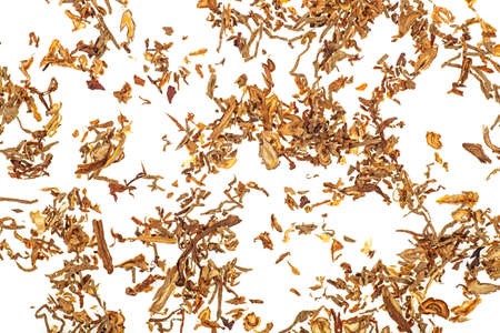 Tobacco isolated on white background, top view.の写真素材