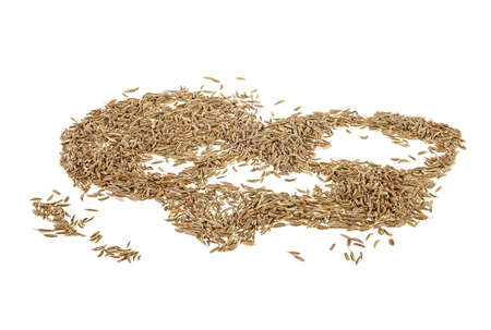 Seeds of cumin isolated on white background, full depth of field.