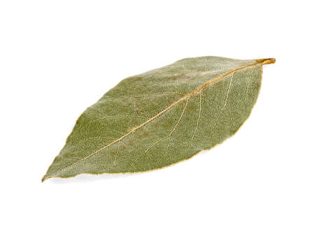 Dried laurel leaf isolated on white background