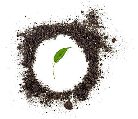 Pile of soil humus and green leaf on white background. Top view.の写真素材