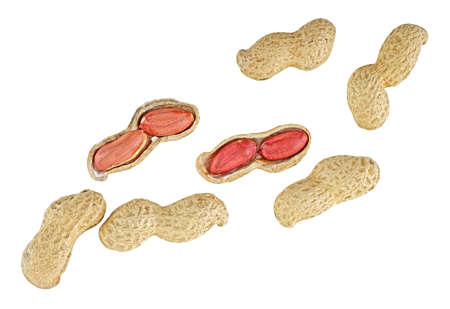 Peanuts with shells isolated on white background, top view.
