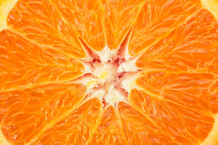 Orange fruit slice as backgroundの写真素材