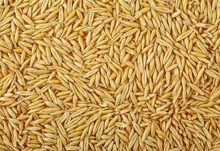 Oat grains as background, close up. Top view.の写真素材