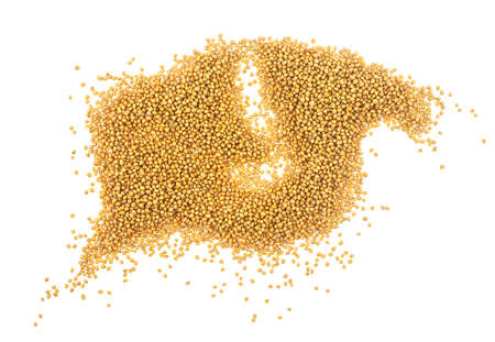 Yellow mustard seeds isolated on white background, top view.の写真素材