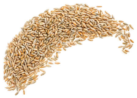 Pile of rye grains isolated on a white background, top view.の写真素材