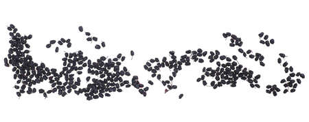 Dried elderberries isolated on a white background, top view. Dried elderberry fruits.の写真素材
