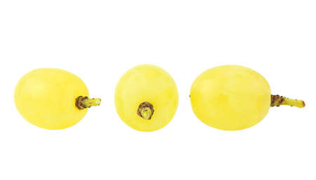 Three fresh grapes isolated on white background. Group of three whole fresh green grape.の写真素材