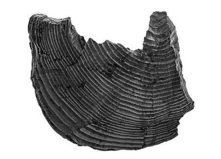 Piece of natural wood charcoal isolated on a white backgroundの写真素材