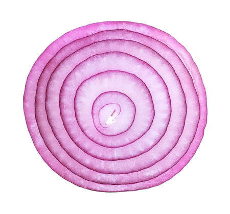 Violet onion slice on a white background, top view. Sliced red onion rings.の写真素材