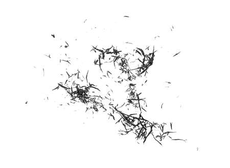 砂埃の写真 イラスト素材一覧 625 235件 ストックフォトのamanaimages Plus