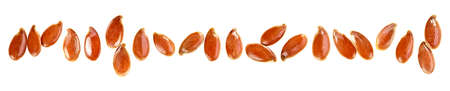 Group of linseeds or flax seeds isolated on a white background. Concept of healthy food.の写真素材