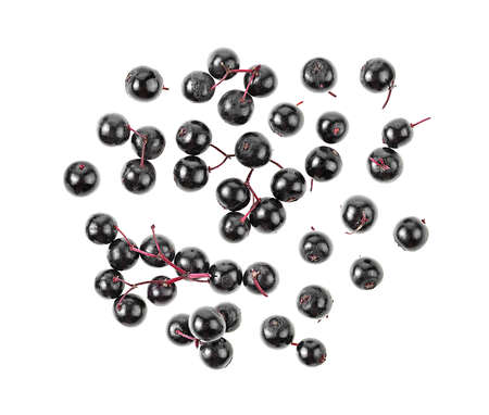 Black elderberry fruit isolated on a white background, top view. Elder berries.の写真素材