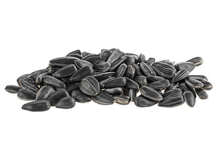 Black sunflower seeds isolated on a white backgroundの写真素材
