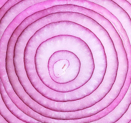Violet onion slice as a background, top view. Sliced red onion rings.の写真素材