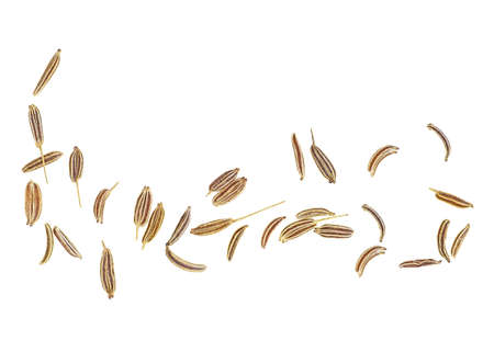 Cumin seeds isolated on white background, top view. Caraway seeds.の写真素材