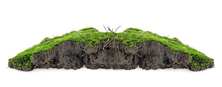 Green moss with grass on pile of soil isolated on a white backgroundの写真素材