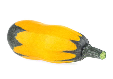 Courgette isolated on a white background. Yellow zucchini. Ripe and organic zucchini.の写真素材