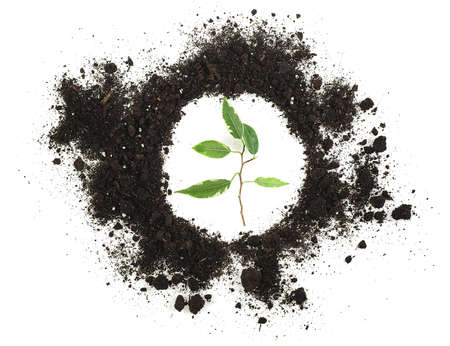 Pile of soil humus and green plant isolated on a white background. Top view.の写真素材