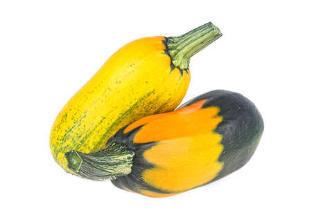 Two fresh whole zucchini isolated on a white background. Two zucchini or courgettes.の写真素材
