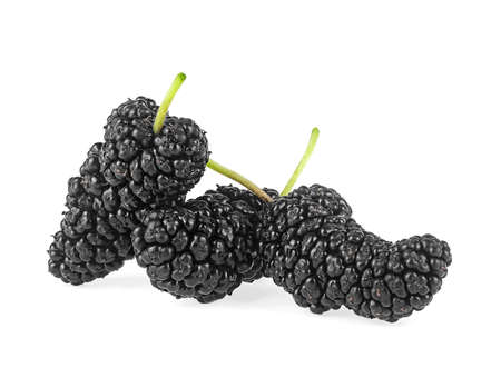 Ripe mulberries isolated on a white background. Three fresh mulberries.の写真素材