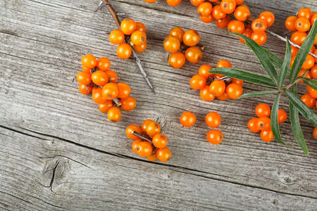 Sea buckthorn berries on wooden background, top view.の写真素材