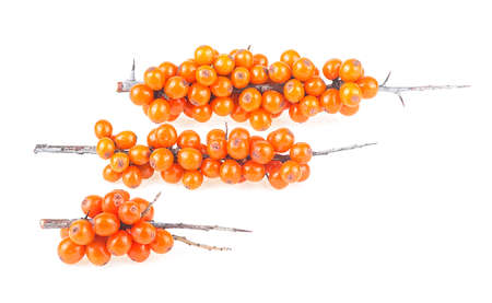 Three branches of sea buckthorn berries isolated on a white backgroundの写真素材