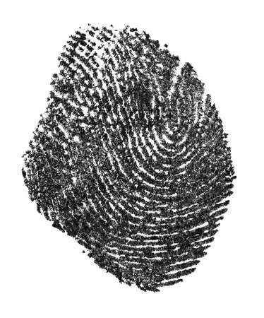 Fingerprint pattern isolated on a white background. Real fingerprint. Black fingerprint on white paper.の写真素材