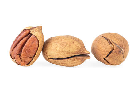 Three pecan nuts isolated on a white backgroundの写真素材