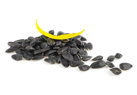 Sunflower petal and seeds of sunflower isolated on a white backgroundの写真素材