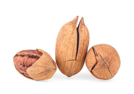 Pecan nuts isolated on a white background. Whole and cracked pecan nuts.の写真素材