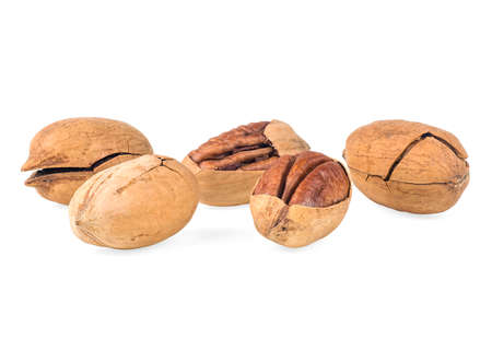 Pecan nuts isolated on a white backgroundの写真素材