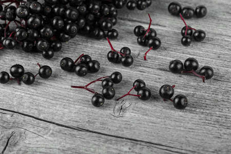 Black elderberries on a rustic wooden table, selected focus. Sambucus.の写真素材
