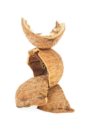 Empty walnut shells isolated on a white backgroundの写真素材