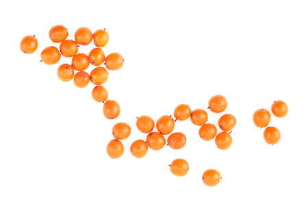 Fresh berries of sea buckthorn isolated on a white background, top view.の写真素材
