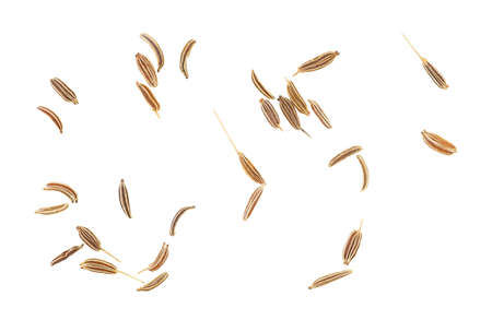 Dried caraway seeds isolated on a white background, top view. Cumin seeds.の写真素材