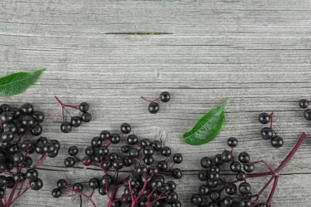 Fresh elderberry with green leaves on a wooden background. Elder plant berries. European black elderberry.の写真素材