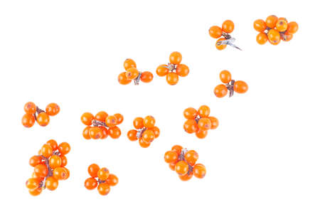Small branches of sea buckthorn berries isolated on a white background, top view. Fresh ripe berries.の写真素材