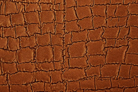 Skin reptile as texture. Brown crocodile skin. Snake background.の写真素材