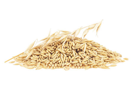 Oat spikelet and oat grains isolated on a white backgroundの写真素材