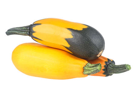 Mixed yellow and green zucchini isolated on a white background. Group of zucchini.の写真素材