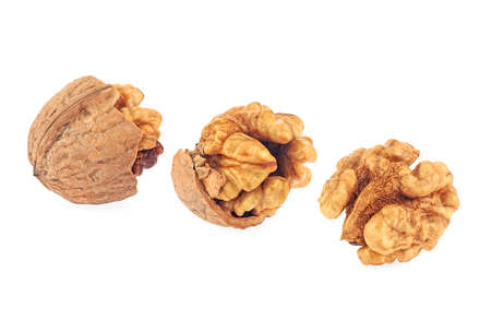 Kernel and whole walnuts isolated on a white background. Set of delicious walnuts.の写真素材