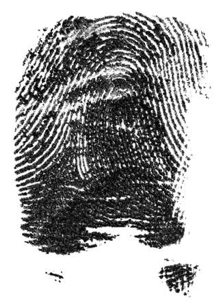 Black ink fingerprint isolated on a white background. Police fingerprints.の写真素材