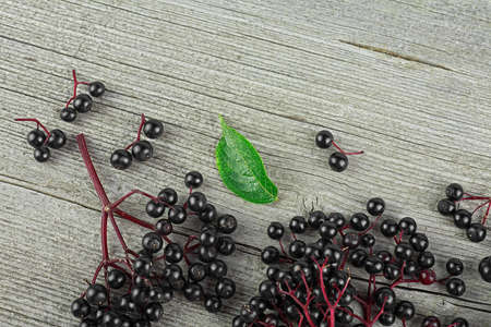 Fresh elderberry on branches with green leaf on a wooden desk, top view. European black elderberry.の写真素材