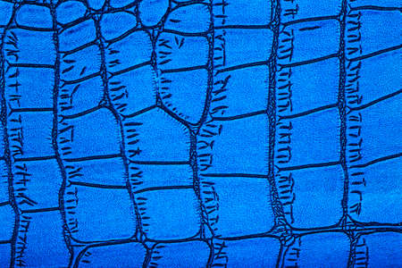 Background of blue skin of a crocodile. Blue alligator patterned background. Genuine crocodile leather pattern.の写真素材